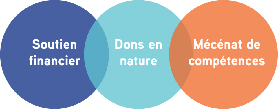 Soutien Financier, Dons en Nature, Mécénat de compétences